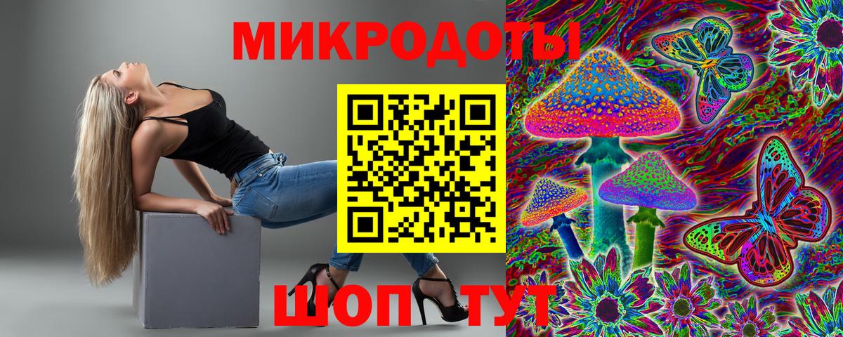 Галлюциногенные грибы мухоморы  продажа наркотиков  Камышин  Вход с VPN 