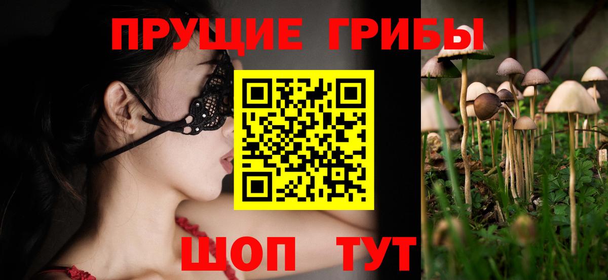 Псилоцибиновые грибы мицелий Камышин