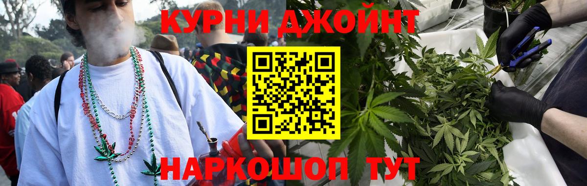 Конопля гибрид Камышин